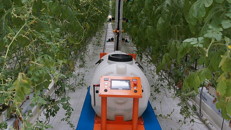 2025年玉米收割机补贴怎么查？看懂型号与补贴的对应逻辑