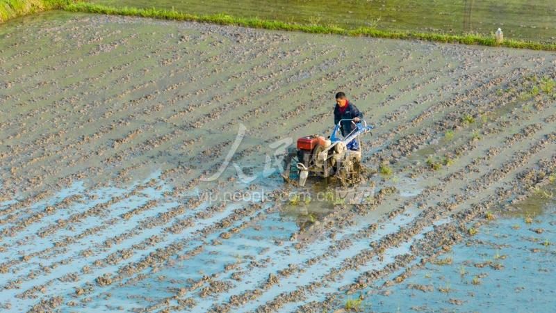 植保无人机抗风能力：6级与7级有何不同**